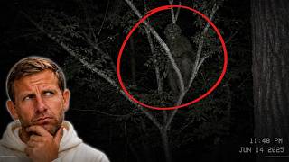 Trail Cam Captures Mysterious Creature Hiding in the Branches