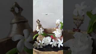 #bollywood #song #love #mahadevlover ❤️💚🔱🤌🕉️ #harharmahadev 🙏🌺💓#viralshorts