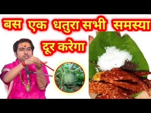 बस एक धतूरा सभी समस्या दूर कर देगा बड़ी सी बड़ी बीमारी हो दूर हो जाएगी ।।  हर हर महादेव 🙏🏻