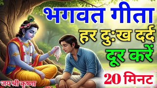 Bhagwat Geeta Saar 20 minute | Shrimad Bhagwat Gita | संपूर्ण गीता सार Geeta Saar | dharma pravah