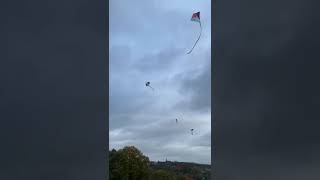 Palestine solidarity kite flying #pakistaniinlondon #travel #pakistaniinuk #vlog #adventure #kite