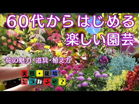 ビギナーさんいらっしゃーい【冬の花】60代から始める楽しい園芸・花の魅力・100均で買える道具・失敗しない植え方などお話しします【植え方】