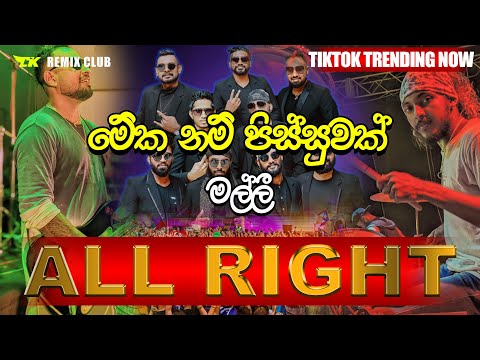 All Right හොදම ටික එක පෙලට අහන්න  | 2024 live Nonstop | Live Show | Best Sinhala Songs Collection