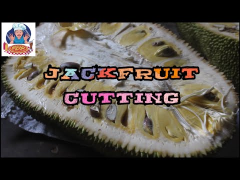 Jack Fruit Cutting | Francis Kitchen & Vlogs