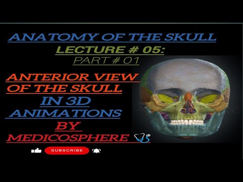 LECTURE#05: ANTERIOR VIEW OF THE SKULL in 3D BY MEDICOSPHERE 🩺.#human skull#anatomy#medicosphere#3d 