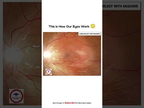 This is How our EYE work 😱!