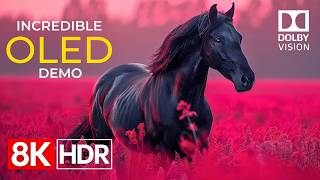 Incredible Picture Quality in 8K HDR 60fps Dolby Vision | OLED TV Demo