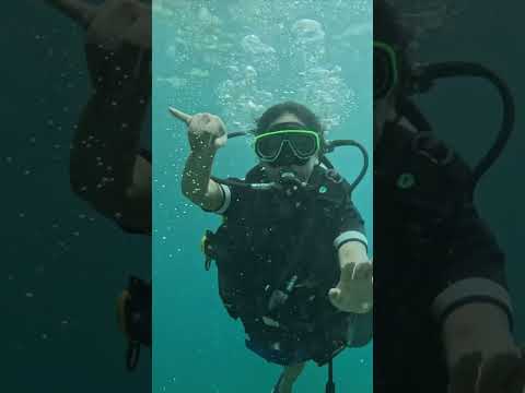 Scuba Diving in Phi Phi Islands! #scubadiving #thailand #sea #adventure #graduation #students #live