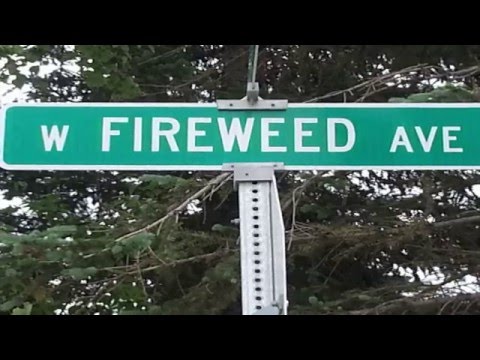 "Fireweed" at Bella Winery by Jeff Gold