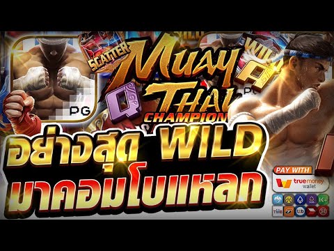 สล็อตเว็บตรง Muay Thai Champion PG l สล็อตมวยไทย อย่างสุด WILD มาคอมโบแหลก