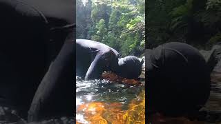 Breaking My Gold Nugget Record! #recordgoldnugget #goldprospecting #goldmining #gold