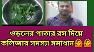 ওড়লের পাতার রসে কলিজার সমস্যা সমাধান|Liver problem Treatment|ঘরোয়া উপায়ে|Pigeon pea||🙆🙆||
