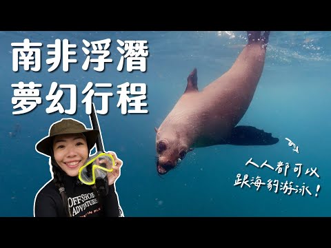 【南非系列】浮潛找海豹一起游泳！南非太好玩了吧！