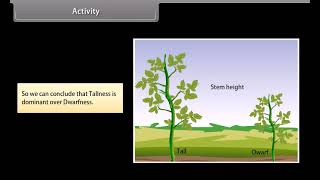 CLASS -X BIOLOGY I Heredity And Evolution Part-2  #heredityandevolutionclass10 #heredity