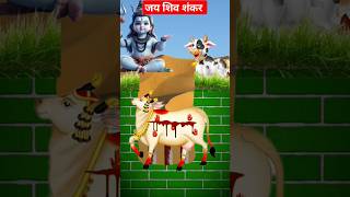 jai shiv shankar Jai gangadhar जय शिव शंकर जय गंगाधर