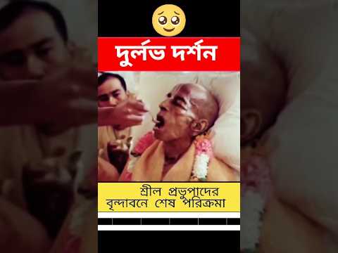 শ্রীল প্রভুপাদের বৃন্দাবনে শেষ পরিক্রমা#prabhupada #brindaban #iskcon #shorts #viral #durlabhdarshan