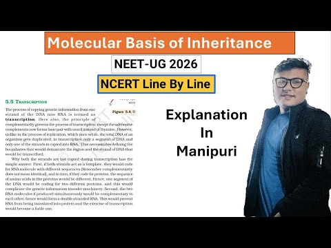 Molecular Basis of Inheritance || NCERT line by line || Explanation in Manipuri
