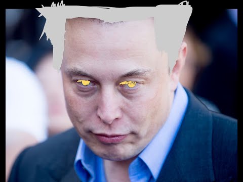 Elon norted Twitter