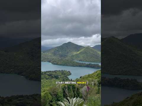 TA day 51,  Queen Charlotte Track done and dusted before to much wet weather 🌧️