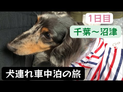 【犬連れ旅】クルマ用冷蔵庫が活躍！千葉～愛知の車中泊旅1日目【SA巡り】