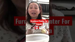 Furniture Painter For Canada 🇨🇦 | Zero Placement Fee | Zero Processing Fee