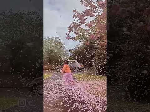 #spring mommories #uk