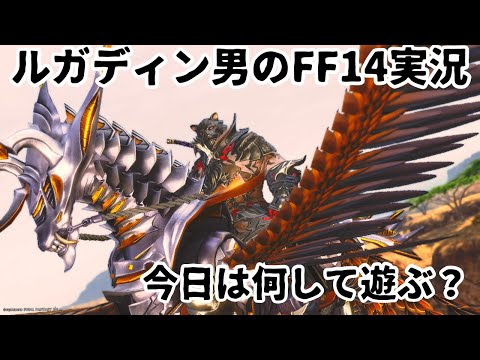 【ルガディン男のFF14実況】今日は何して遊ぼう？【Gaia】【黄金のレガシー】