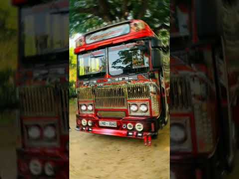 බස් කාලාවේ මෙයාට ගහන්න කෙනෙක් නෑ 💪💞 pro line ultra legend 🚌😘