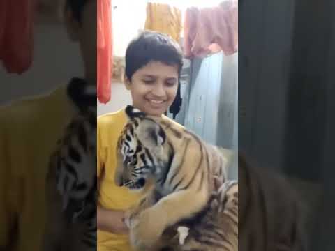 #aicover #music #coversong