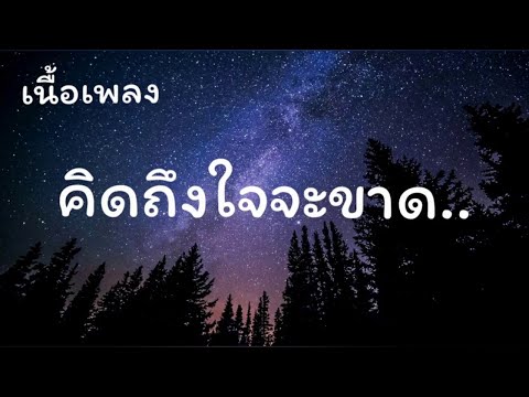 คิดถึงใจจะขาด - ไชโย ธนาวัฒน์ [ cover potae ] [ เนื้อเพลง ]