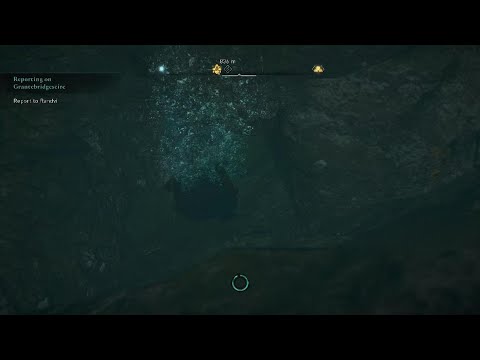 Assassin's Creed® Valhalla - Game Bugs As Usual....