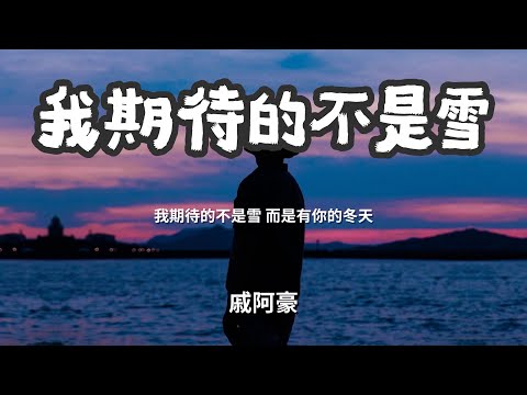 我期待的不是雪 - 戚阿豪「我期待的不是雪 而是有你的冬天」 【动态歌词Lyrics】