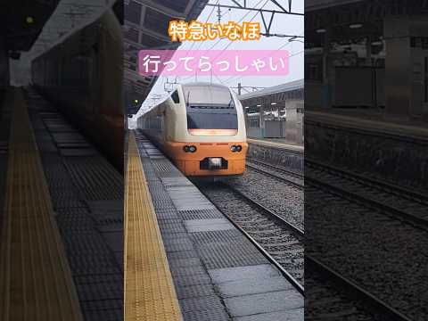 特急いなほ秋田行き#shorts #特急 #特急いなほ いなほ