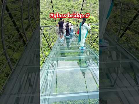 #glassbridgebihar #glass bridge #shorts #shortvideo #ytshort #patnalikes #shortsviral