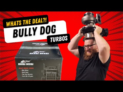 Taking A Look At The Bully Dog Big Rig Stage 1 Caterpillar Turbo