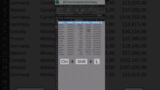Excel Quick Tips - Filtering Keyboard Shortcuts