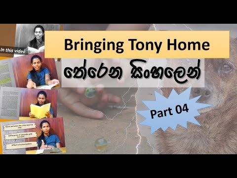 Bringing Tony Home තේරෙන සිංහලෙන් | Part 04
