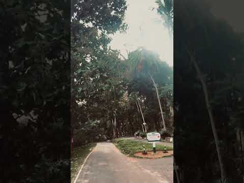 ඒක වෙනම vibe එකක් 🥺❤️ // Aththanagoda