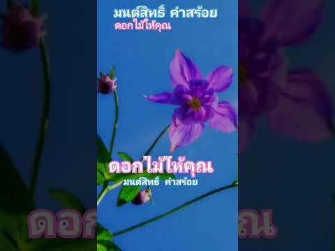 ดอกไม้ให้คุณ...มนต์สิทธิ์ คำสร้อย