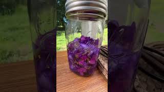 Soda From Garden Flowers 🪻💜 #gardeningvideos #drinkrecipes #gardentoglass #teagarden #gardener