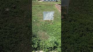 sale for plot 30×50=1500sq fit dakhil khari best location shivpuram paniyala road cont 7417884017 me