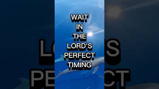 You Are Exactly Where God Wants You #TrustGodsTiming #StayFaithful #GuidedByGod