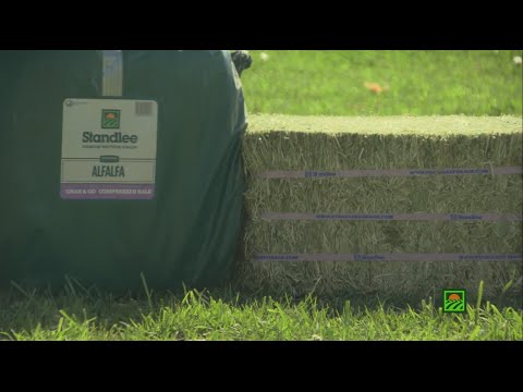 Standlee Premium Western Forage® Bale Products