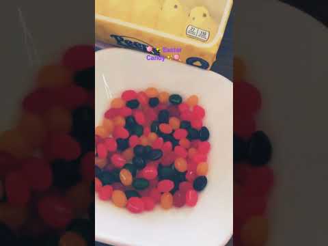 🍭🍭✨🍭✨🍭🍭🍭✨🍭
