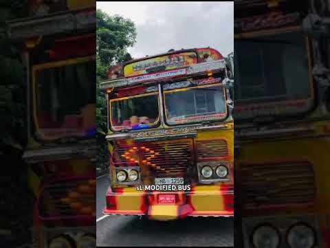 *මිදුම් මැදින් නෙළුවේ යන මී මැස්සෝ 🐝🧡* #bus #viralshort
