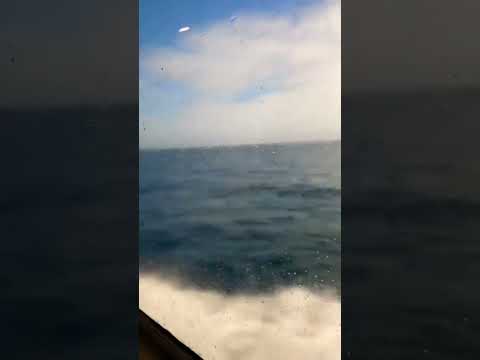 Sea Ride #views #ytshort #shortsvideo #tiktok #sea #cruise #cruising #shortsfeed #shorts #fypシ゚viral
