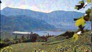 Hotels Appiano sulla Strada del Vino