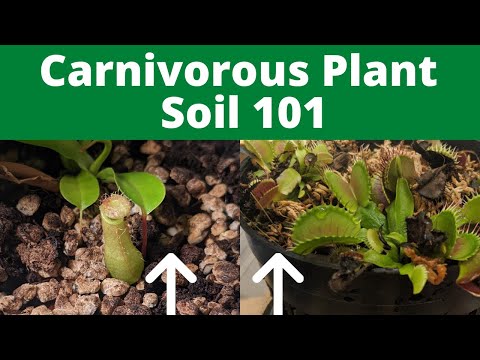 How to Make Carnivorous Plant Soil (Easy Guide with Recipes)