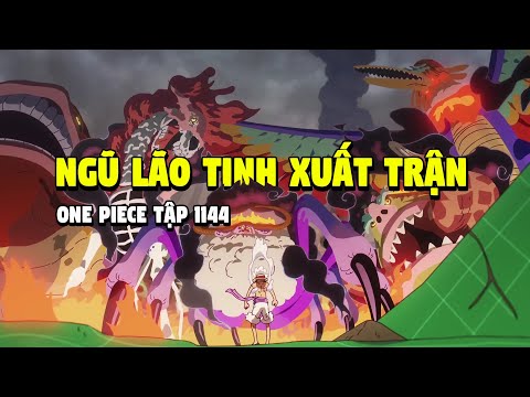 Ngũ Lão Tinh Nuốt Chửng Luffy, Zoro Một Đao Kết Liễu Lucci! | Review One Piece Tập 1144 Anime