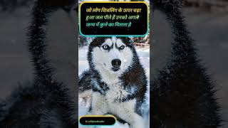 Those who drink the water offered over the Shivling  जो लोग शिवलिंग #shivlig #trending #hindudeity